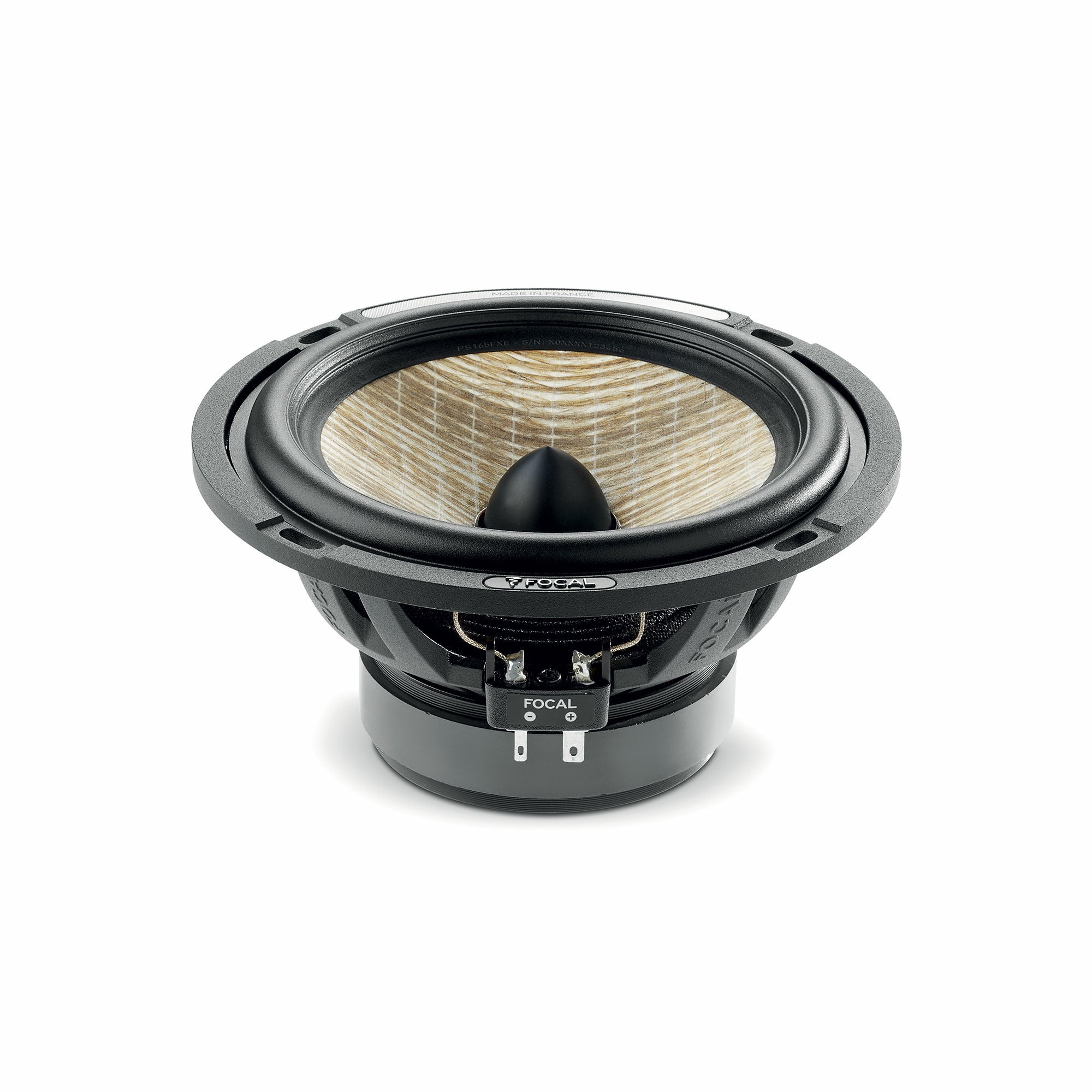 Focal PS165FXE (DEMO MODEL)