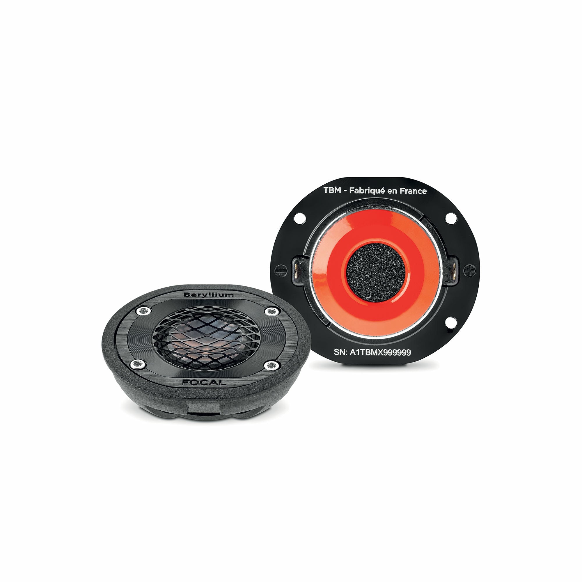 Focal TBM (Demo Models)