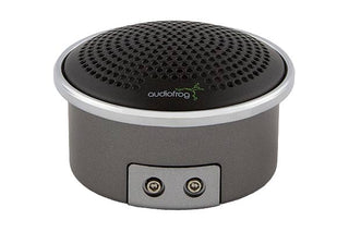 Audiofrog GS10
